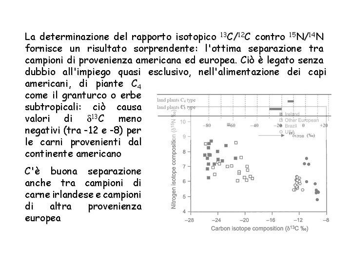 La determinazione del rapporto isotopico 13 C/12 C contro 15 N/14 N fornisce un