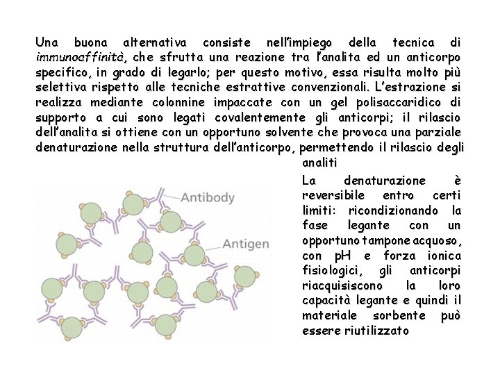 Una buona alternativa consiste nell’impiego della tecnica di immunoaffinità, che sfrutta una reazione tra