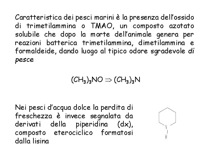 Caratteristica dei pesci marini è la presenza dell’ossido di trimetilammina o TMAO, un composto