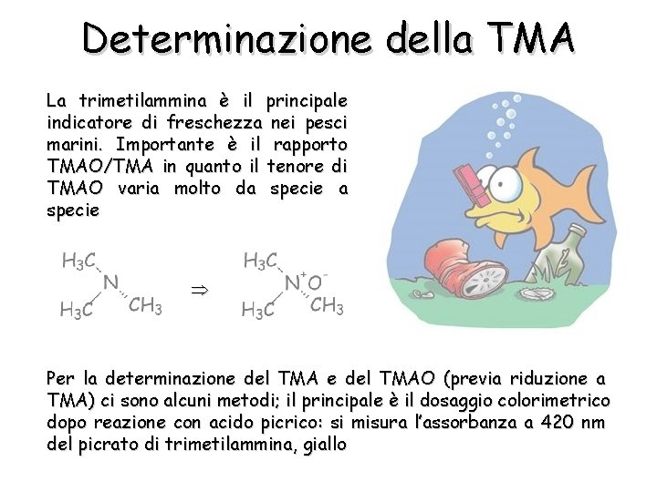 Determinazione della TMA La trimetilammina è il principale indicatore di freschezza nei pesci marini.