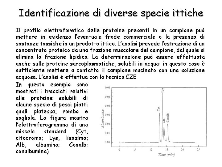 Identificazione di diverse specie ittiche Il profilo elettroforetico delle proteine presenti in un campione