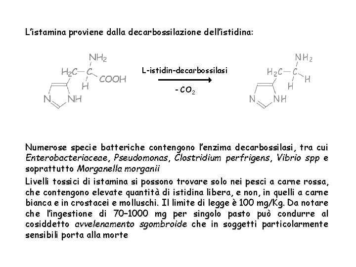 L’istamina proviene dalla decarbossilazione dell’istidina: L-istidin-decarbossilasi - CO 2 Numerose specie batteriche contengono l’enzima