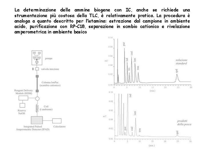 La determinazione delle ammine biogene con IC, anche se richiede una strumentazione più costosa