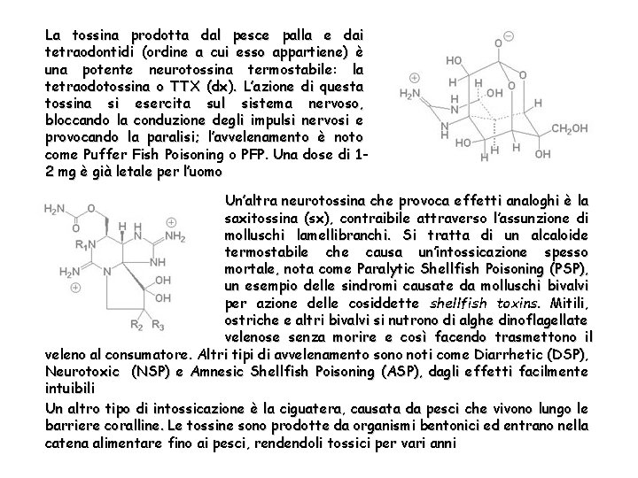 La tossina prodotta dal pesce palla e dai tetraodontidi (ordine a cui esso appartiene)