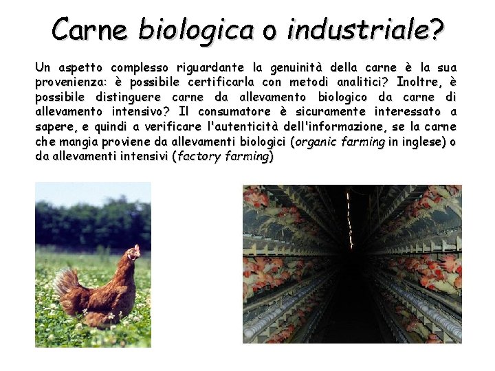 Carne biologica o industriale? Un aspetto complesso riguardante la genuinità della carne è la