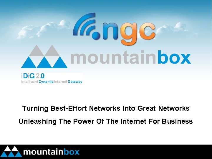 Turning Best-Effort Networks Into Great Networks Unleashing The Power Of The Internet For Business