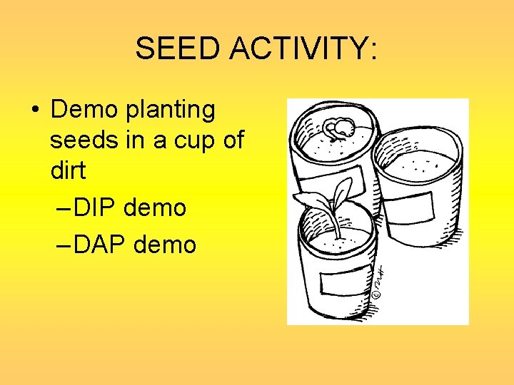 SEED ACTIVITY: • Demo planting seeds in a cup of dirt – DIP demo