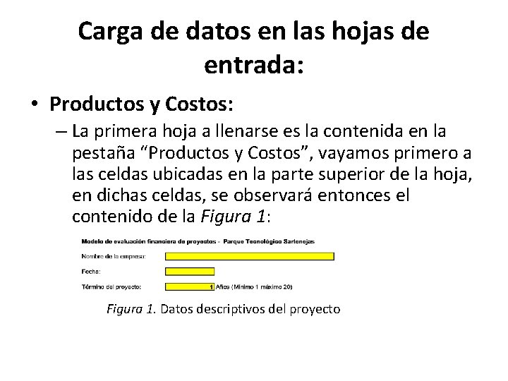 Carga de datos en las hojas de entrada: • Productos y Costos: – La