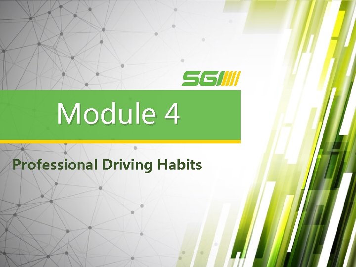 Module 4 Professional Driving Habits 