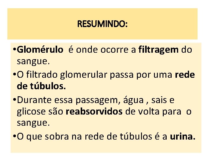 RESUMINDO: • Glomérulo é onde ocorre a filtragem do sangue. • O filtrado glomerular RESUMINDO: • Glomérulo é onde ocorre a filtragem do sangue. • O filtrado glomerular