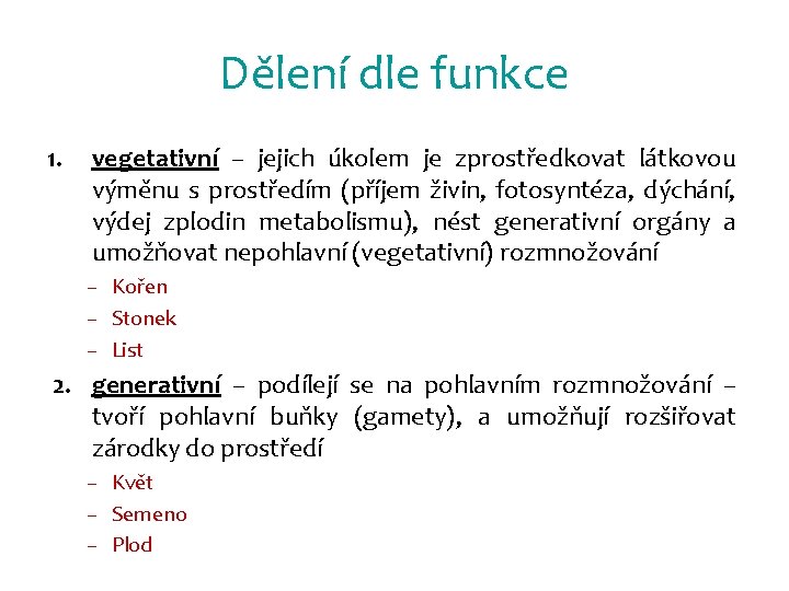 Dělení dle funkce 1. vegetativní – jejich úkolem je zprostředkovat látkovou výměnu s prostředím