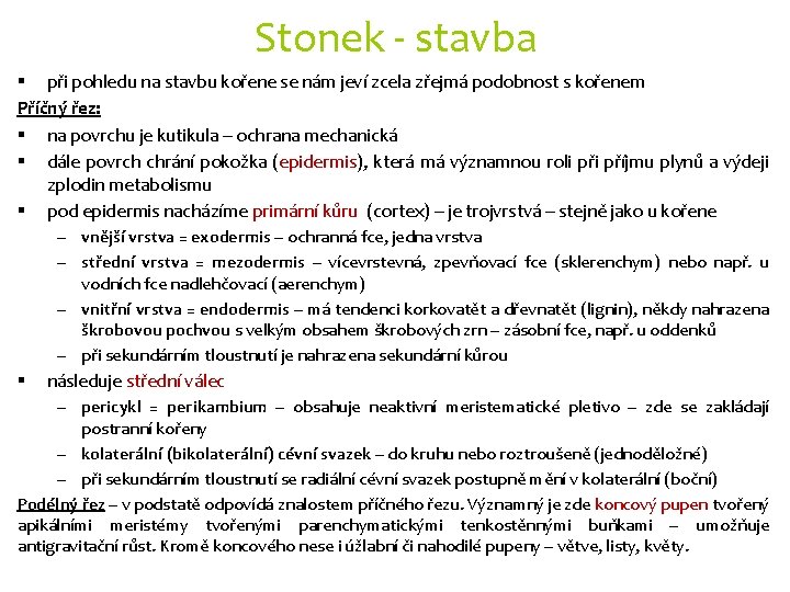 Stonek - stavba § při pohledu na stavbu kořene se nám jeví zcela zřejmá