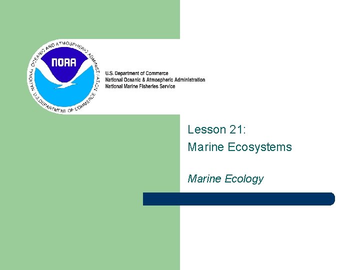 Lesson 21: Marine Ecosystems Marine Ecology 