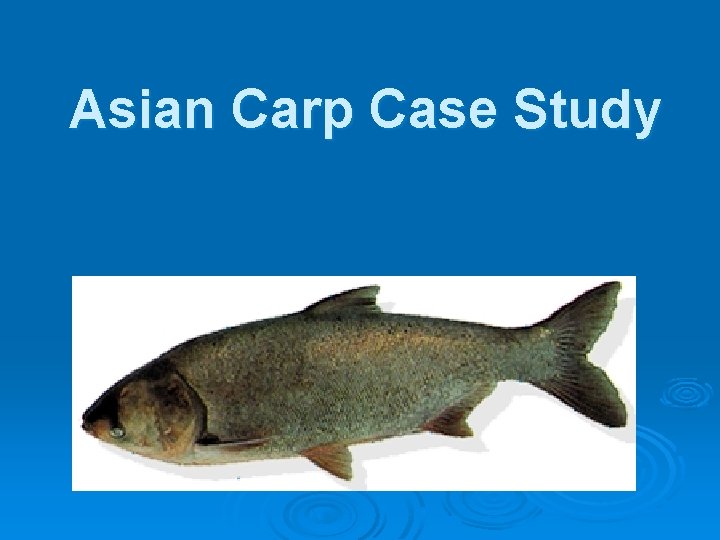 Asian Carp Case Study 