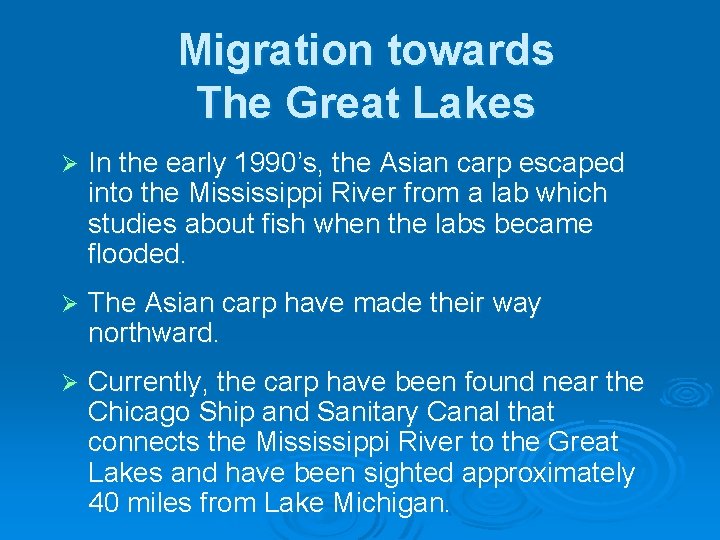 Migration towards The Great Lakes Ø In the early 1990’s, the Asian carp escaped