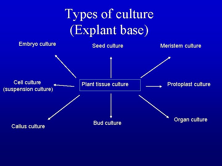 Types of culture (Explant base) Embryo culture Cell culture (suspension culture) Callus culture Seed