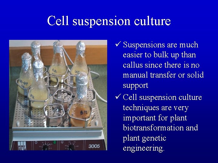 Cell suspension culture ü Suspensions are much easier to bulk up than callus since