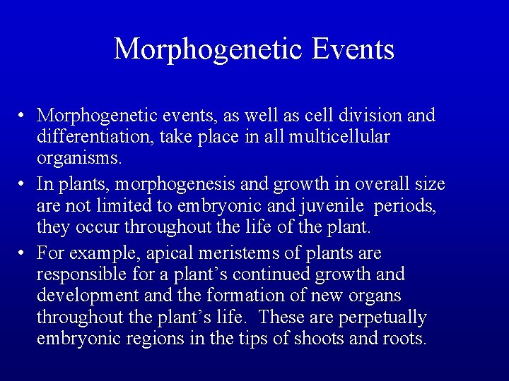 Morphogenetic Events • Morphogenetic events, as well as cell division and differentiation, take place