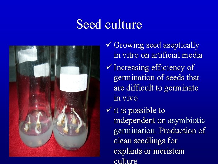 Seed culture ü Growing seed aseptically in vitro on artificial media ü Increasing efficiency