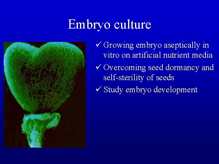 Embryo culture ü Growing embryo aseptically in vitro on artificial nutrient media ü Overcoming