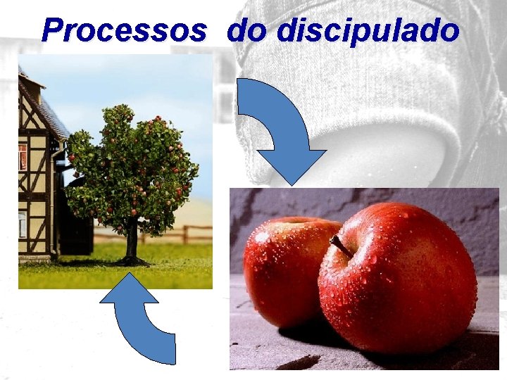 Processos do discipulado 