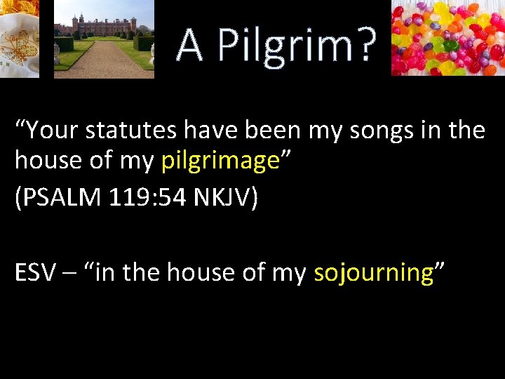 A Pilgrim? “Your statutes have been my songs in the house of my pilgrimage”