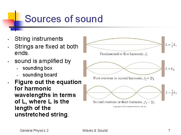 Sources of sound • • • String instruments Strings are fixed at both ends.