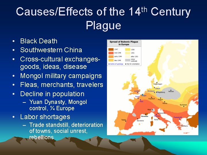 Causes/Effects of the 14 th Century Plague • Black Death • Southwestern China •