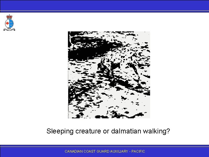 Sleeping creature or dalmatian walking? CANADIAN COAST GUARD AUXILIARY - PACIFIC 