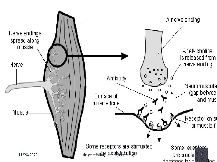 11/28/2020 dr yekefallah---phd of nursing 6 