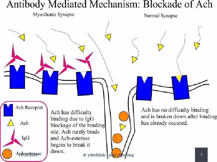 11/28/2020 dr yekefallah---phd of nursing 7 
