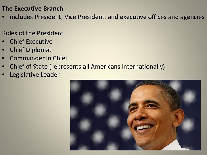The Executive Branch • includes President, Vice President, and executive offices and agencies Roles