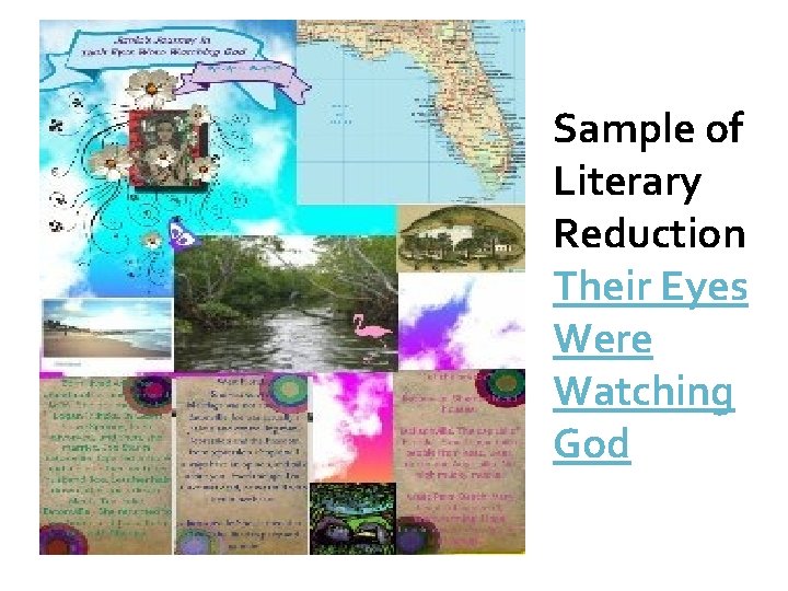 Sample of Literary Reduction Their Eyes Were Watching God 