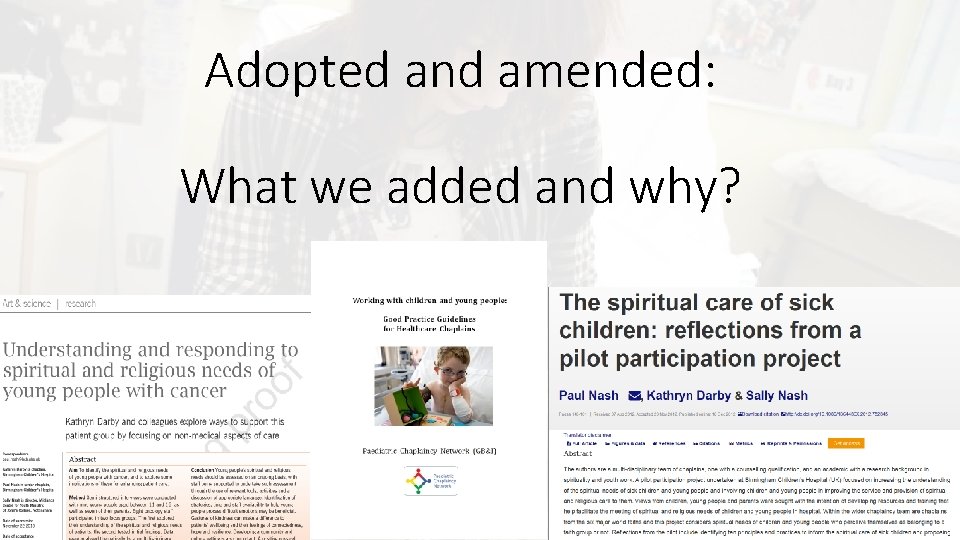 Adopted and amended: What we added and why? 
