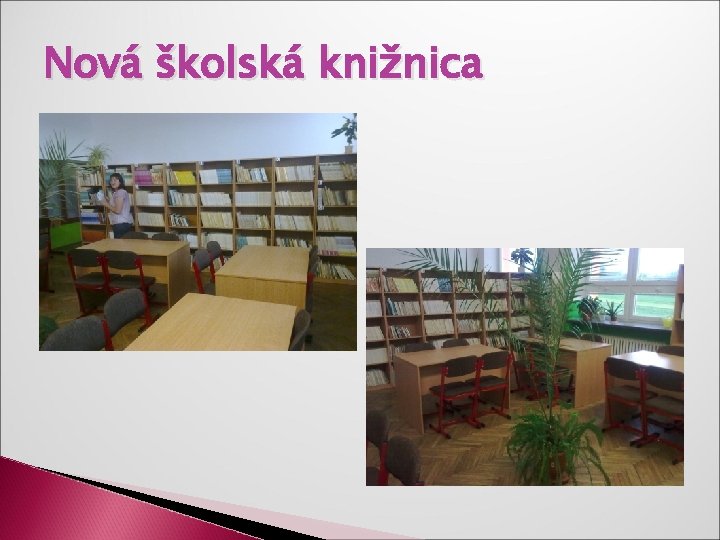 Nová školská knižnica 