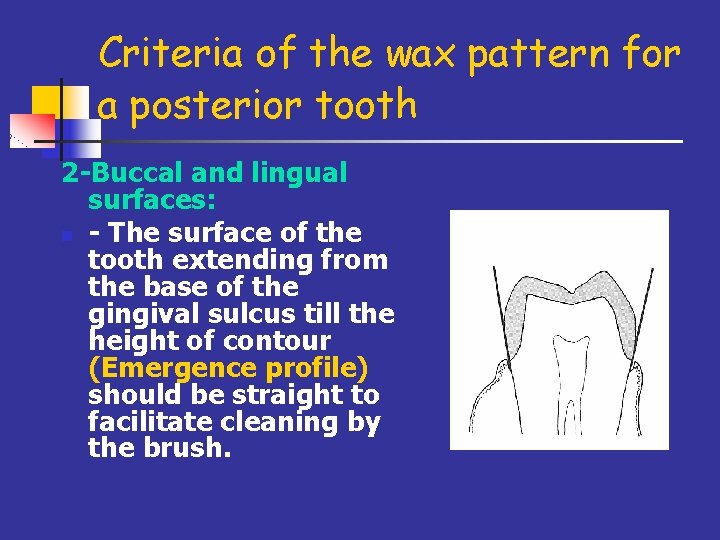 Criteria of the wax pattern for a posterior tooth 2 -Buccal and lingual surfaces: