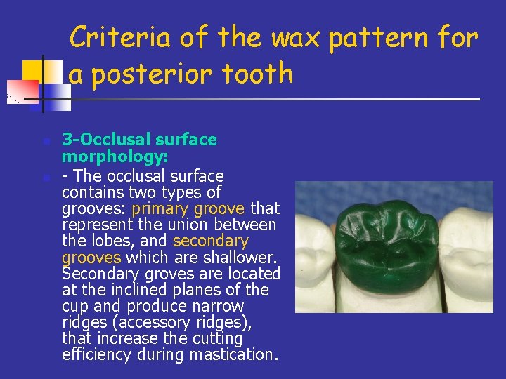 Criteria of the wax pattern for a posterior tooth n n 3 -Occlusal surface