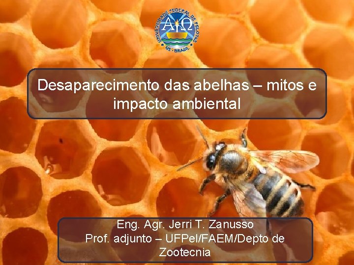 Desaparecimento das abelhas – mitos e impacto ambiental Eng. Agr. Jerri T. Zanusso Prof.