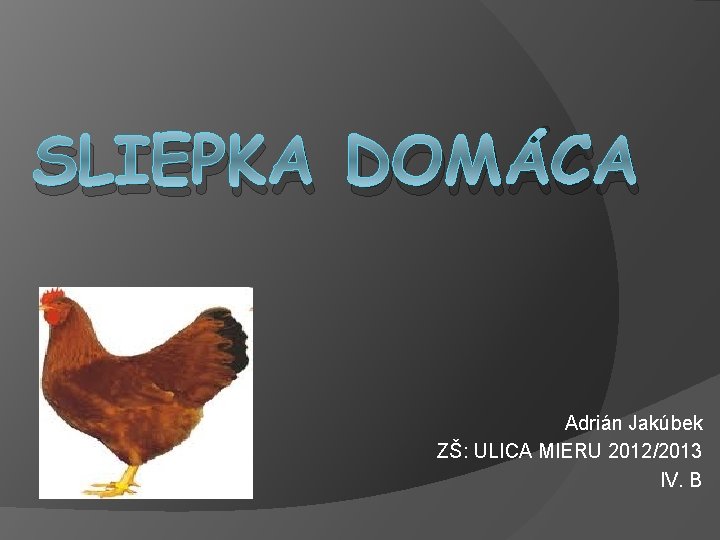 SLIEPKA DOMÁCA Adrián Jakúbek ZŠ: ULICA MIERU 2012/2013 IV. B 