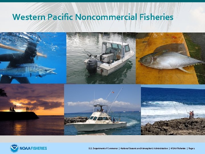 Western Pacific Noncommercial Fisheries U. S. Department of Commerce | National Oceanic and Atmospheric Administration | NOAA Fisheries | Page