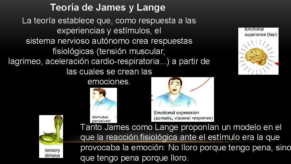 Teoría de James y Lange La teoría establece que, como respuesta a las experiencias
