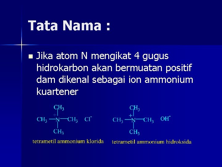 Tata Nama : n Jika atom N mengikat 4 gugus hidrokarbon akan bermuatan positif