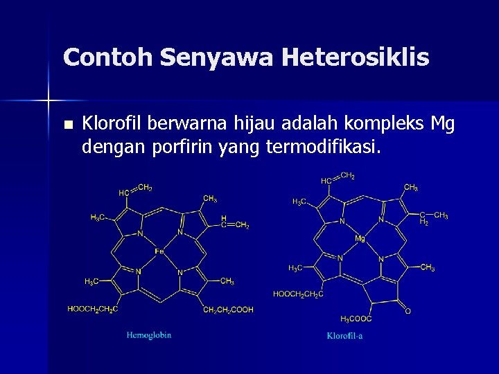 Contoh Senyawa Heterosiklis n Klorofil berwarna hijau adalah kompleks Mg dengan porfirin yang termodifikasi.