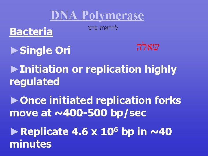 DNA Polymerase Bacteria ►Single Ori להראות סרט שאלה ►Initiation or replication highly regulated ►Once