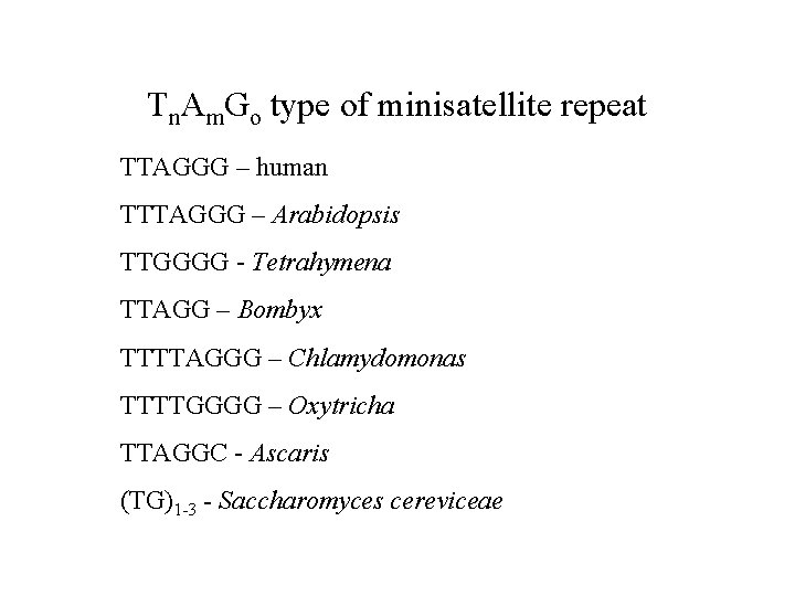 Tn. Am. Go type of minisatellite repeat TTAGGG – human TTTAGGG – Arabidopsis TTGGGG