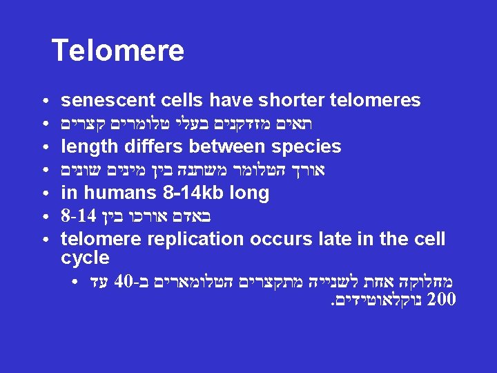 Telomere ● ● ● ● senescent cells have shorter telomeres תאים מזדקנים בעלי טלומרים