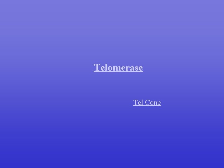 Telomerase Tel Conc 