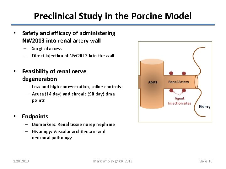 Preclinical Study in the Porcine Model • Safety and efficacy of administering NW 2013