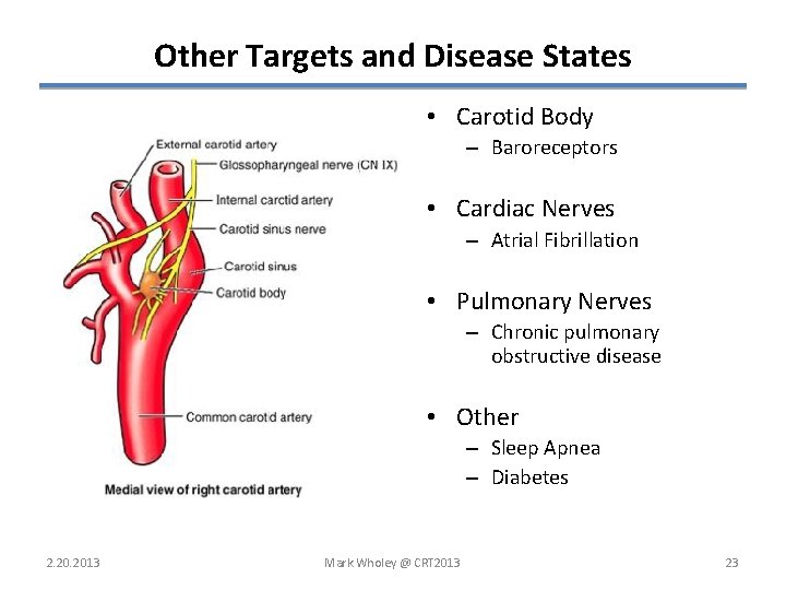 Other Targets and Disease States • Carotid Body – Baroreceptors • Cardiac Nerves –
