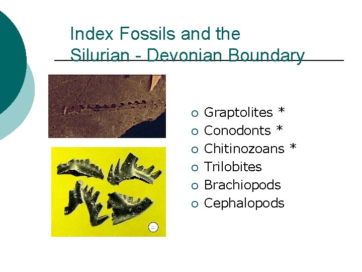 Index Fossils and the Silurian - Devonian Boundary ¡ ¡ ¡ Graptolites * Conodonts